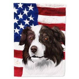 Caroline's Treasures CK6447CHF Border Collie Dog American Flag House Flag Large Porch Sleeve Pole Decorative Outside Yard Banner Artwork Wall Hanging, Polyester, House Size, Multicolor