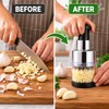 Manual Food Chopper with Storage Container – Hand Press Garlic,