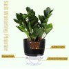 Vanavazon 6 Inch Self Watering Planter Pots for Indoor Plants