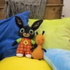 Bing & Flop Twinpack Pluche (5813597)