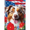 Australian Shepherd Red Merle - Best of Breed All-American Patriotic
