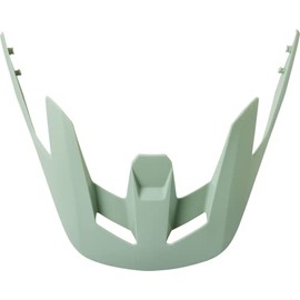 Fox Racing SPEEDFRAME Visor
