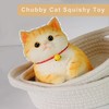 3D Taba Squishy Cat,Cat Sqeeze Toys,Cat Taba Squishy,Stress Relief,Large Cat