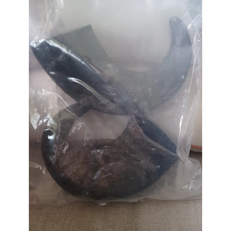 Wild Eats Water Buffalo Horn Dog Chews-2 Count-12 oz