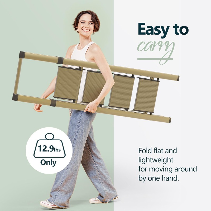 WOA WOA 4 Step Ladder for 10 Feet High Ceiling,