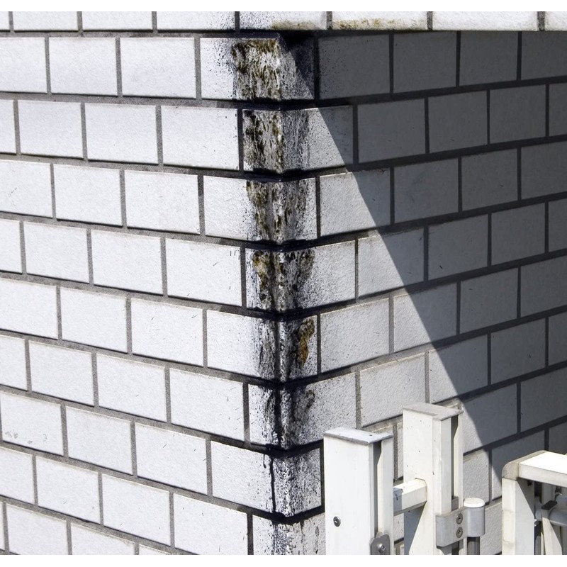 Nihon Miracon Sangyo BOTL-8 Outdoor Washing, 10.1 fl oz (300