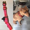 Martingale Collar for Dogs with Buckle, Reflective Dog Choke Collar