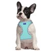 BTDCFY Step in Mesh Dog Harness and Leash Set Breathable