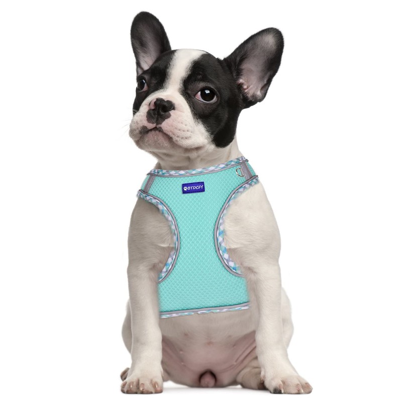 BTDCFY Step in Mesh Dog Harness and Leash Set Breathable