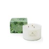 Soap & Paper Factory Roland Pine 18 oz Three-Wick Soy