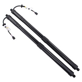 ApplianPar Driver and Passenger Side Power Tailgate Struts Lift Supports for Infiniti JX35 QX60 2013-2017
