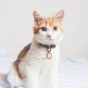 Pawaii Silent Silicone Dog ID Tag, Modifiable Pet Online Profile