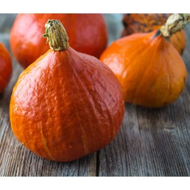 David's Garden Seeds Squash Winter Red Kuri 25 Non-GMO, Heirloom Seeds