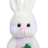 HollyHOME Bunny Stuffed Animal, Bunny Plush with Carrot, Cute Rabbite