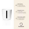 Design Letters Melamine Sippy cups for Baby 7 Oz A-Z