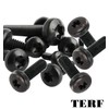 TERF® M3 X 10mm Torx Socket Pan Machine Screw Black