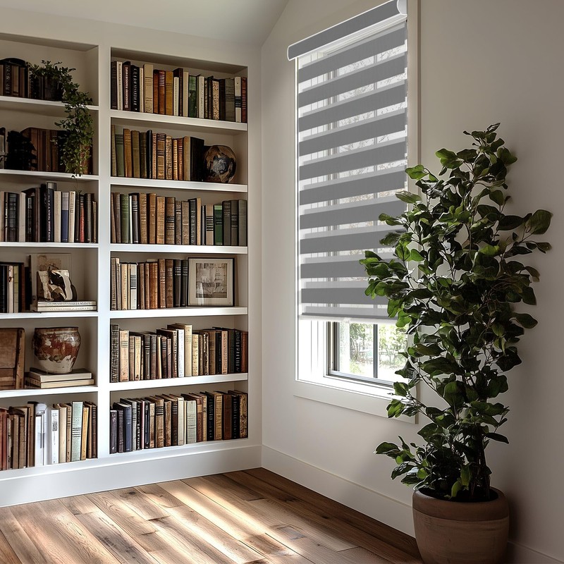 CHICOLOGY Zebra Blinds, Roller Window Shades, Blinds for Windows, Roller