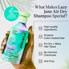 Eva NYC Lazy Jane Air Dry Shampoo, Natural Texture and