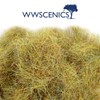 WWScenics | 10mm Dead Static Grass | 30g | WSG10-047
