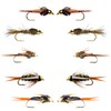 The Fly Fishing Place Basics Collection - Tungsten Bead Head