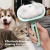Cat & Dog Steam Brush - 3 in 1 Self