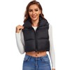 Fuinloth Women's Padded Vest, High Stand Collar Lightweight Zip Crop