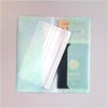 Beverly Multi Holder Antibacterial Mask Case Ticket Case Mint Dot