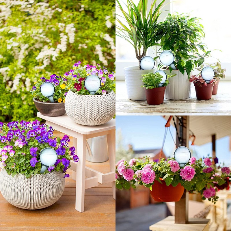 12 Pack Plant Watering Globes Automatic Watering Globes Plant Self