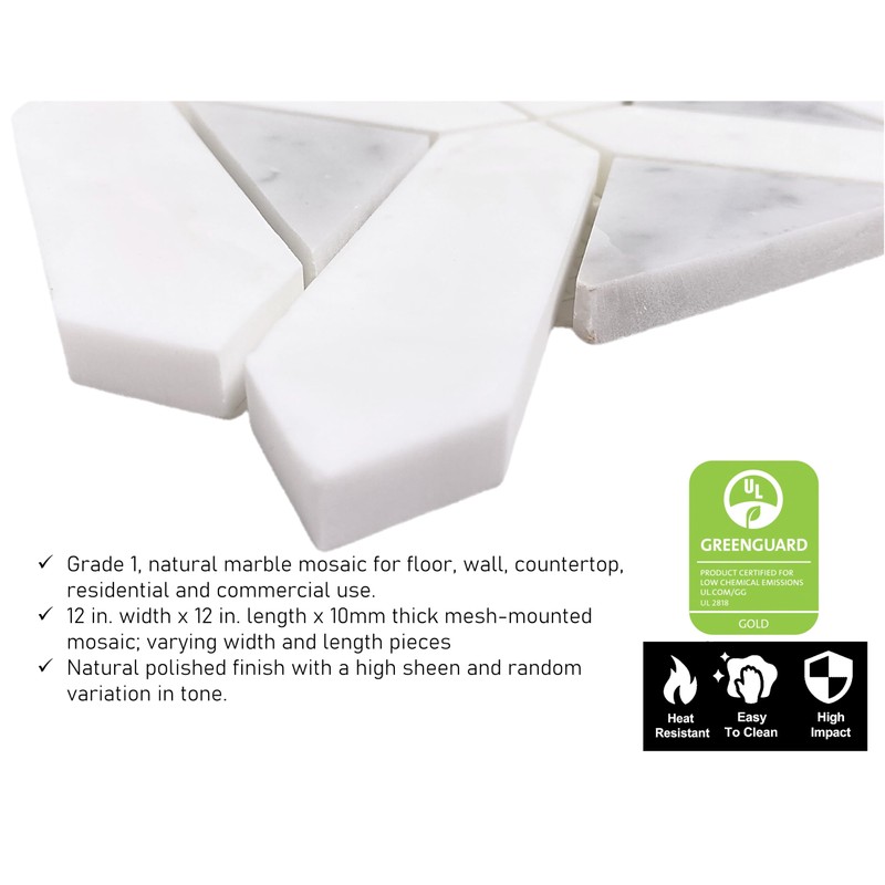 Tenedos Bianco Dolomite with Grey Carrara Geometric Polished Marble Mosaic