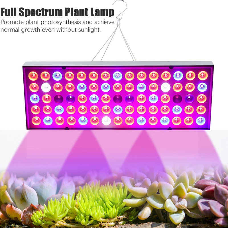 25W LED Plant Light Full Spectrum Plant Growing Seedling Lamp