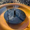 Wild Bird Lover's Wild Bird Lover’s Solar Powered Bird Bath
