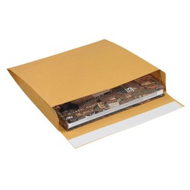 Expandable Self-Seal Envelopes, 10" x 15" x 2", Kraft, Case of 100, Peel and Stick Closure, for Mailing and Shipping Important Documents or Bulky Items