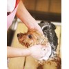 Pet Clean Skin Protecting Rinse In Shampoo for Dog Refill