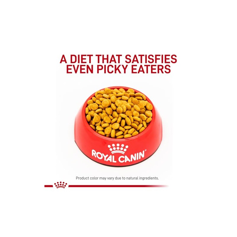 Royal Canin Feline Satiety Support - Comida seca para gatos