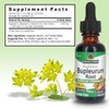 Nature’s Answer Bupleurum Root Bupleurum Chinense - Natural Herbal Supplement