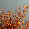 JINGHONG 6 Pack Fall Berry Stems 17" Tall Orange Pumpkin