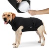 HEYWEAN Full Body Dog Diaper with a Puppy Nappies Physiological