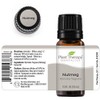 Plant Therapy Nutmeg Essential Oil 10 mL (1/3 oz) 100%