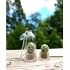 Live Wearable Cactus Necklace Miniature White Cactus Necklace Nature Terrarium
