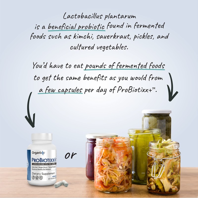 Organixx ProBiotixx+ Probiotic Supplement, Daily Probiotics for Women & Men