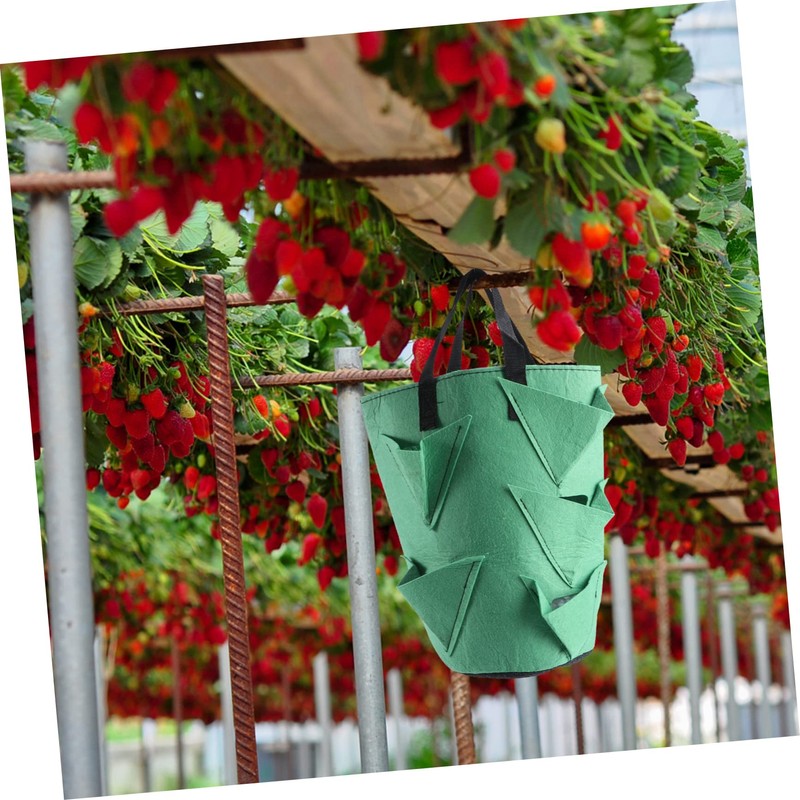 CIYODO 2pcs Strawberry Growing Bag Plant Grow Bags Non-Woven Planters