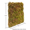 Begeterday 6 Inch Hermit Crab Climbing Wall, Ideal Adjustable Hermit