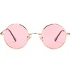 Pro Acme Retro Small Round Polarised Sunglasses for Men Women,