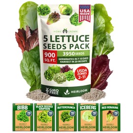 HOME GROWN 5 Lettuce Seed Pack – 3950 Heirloom Vegetable Seeds for Indoor, Outdoor, or Hydroponic Growing – Black Seeded Simpson, Red Romaine, Bibb, Buttercrunch, Iceberg Varieties (Lactuca Sativa)