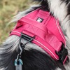 Hurtta Active Dog Harness, Raven, 39-47 in