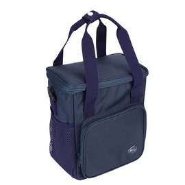 Insulated Picnic Bag Lunch Bag Thermal Bag Bag Cooler Bag Large Capacity Cooling Bag Tote Bag Shoulder Bag 10L Leakproof for Travel Beach Shopping School Work Camping Fishing Party