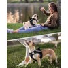 FAYOGOO Service Dog Vest for Small Breed - Lightweight Dog