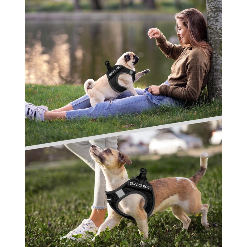 FAYOGOO Service Dog Vest for Small Breed - Lightweight Dog