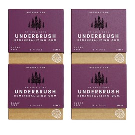 BERRY UNDERBRUSH Remineralizing Chewing Gum with Nano-Hydroxyapatite – 30-Day Natural Gum for Teeth & Gum Protection