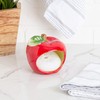 Farmhouse Decor Kitchen Sink Scrubby Holder Ceramic - With Nylon